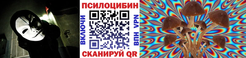 купить  цена  Славск  Псилоцибиновые грибы мухоморы 